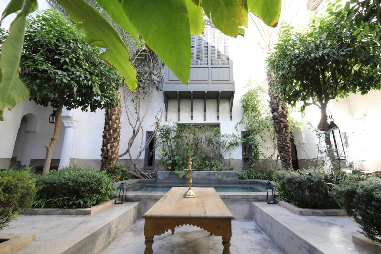 رياد Zaouia 44 4*