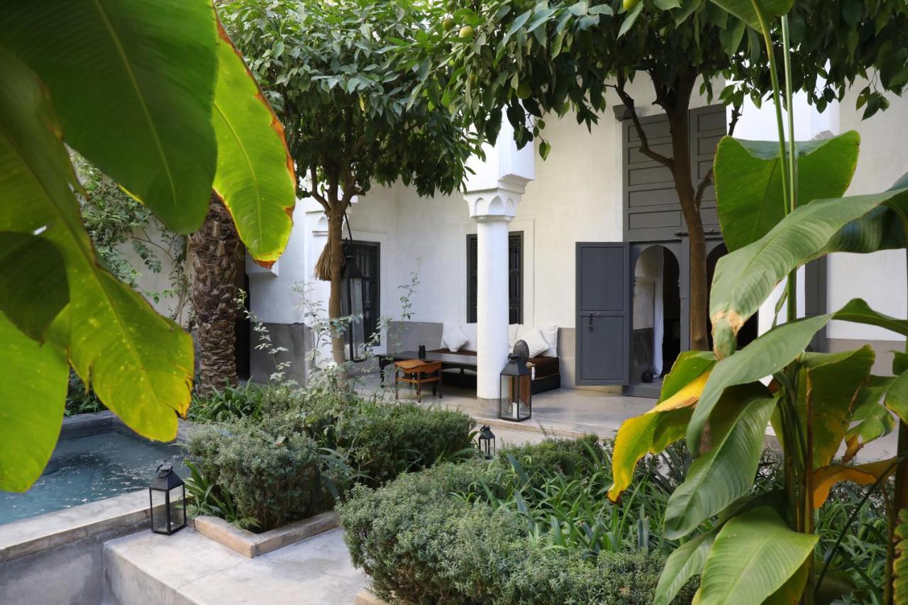 Zaouia 44 رياد 4*